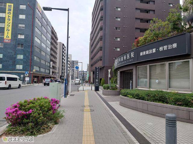 歯科医院を右手に見ながら進む.JPG