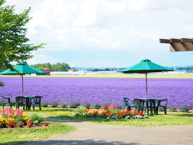 ラベンダーイースト