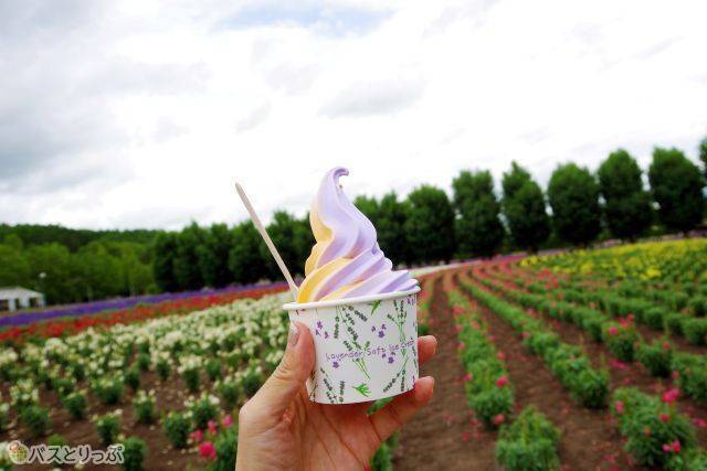 ラベンダー味と北海道メロン味のミックスソフトクリーム。どちらの味もめちゃおいしい！