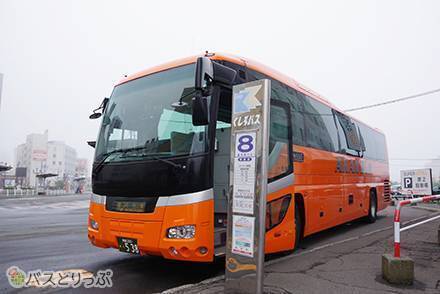 東京ディズニーランド 直通バス運行記念セット 東京ディズニーランド 直通バス運行記念セット