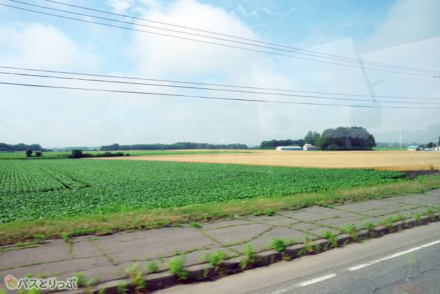 車窓から見える景色が広い！