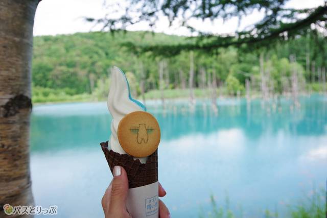 青い池の名物グルメ「青い池ソフトクリーム（夏季限定）」