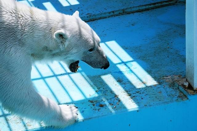 おびひろ動物園