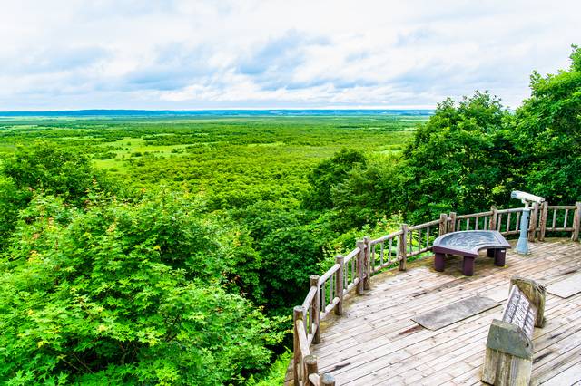 釧路市湿原展望台
