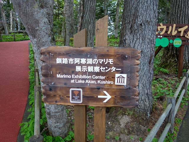 マリモ展示観察センター