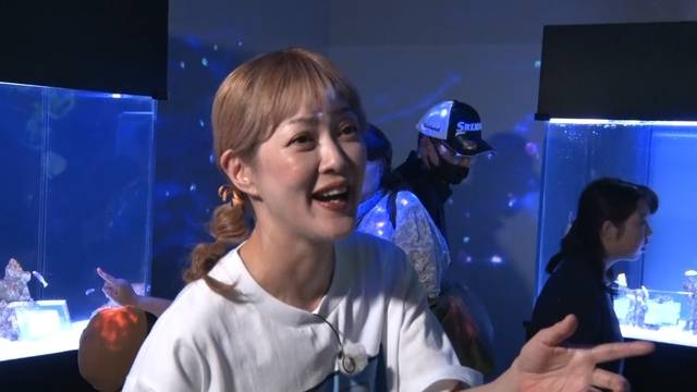 松嶋出会い