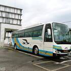 前方向かって左側面にも、大きくツバメが描かれる