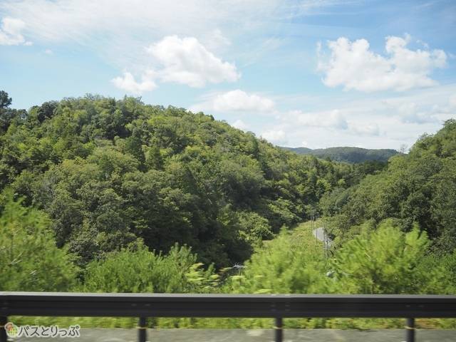 車窓もキレイです