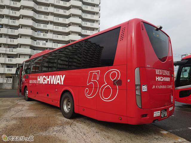 背面から見たところ