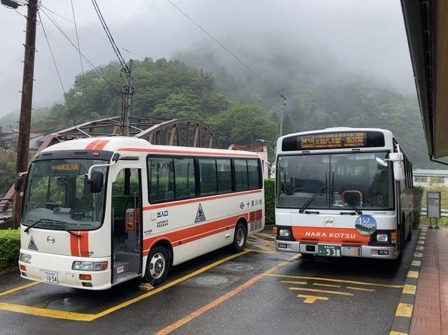 十津川温泉に停⾞するブルーリボンⅡとリエッセ（※画像提供／日本旅行）