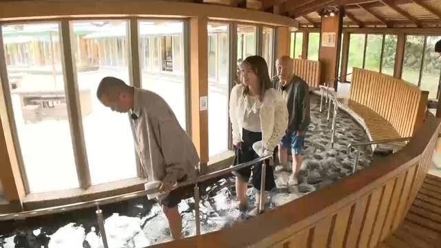 足湯回廊をいたそうに歩く